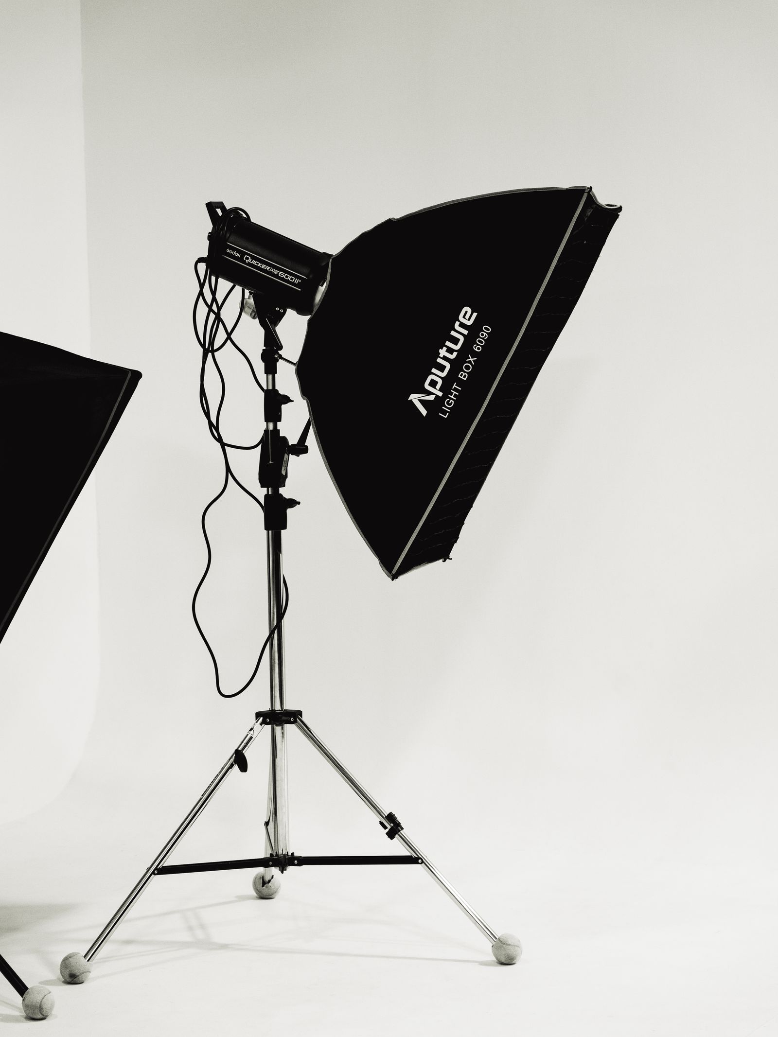 Aputure 600d Pro Light