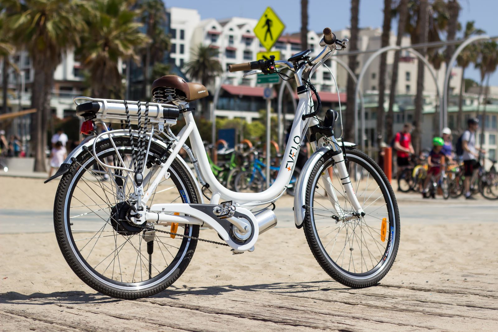 RadRover 6 Plus E-Bike