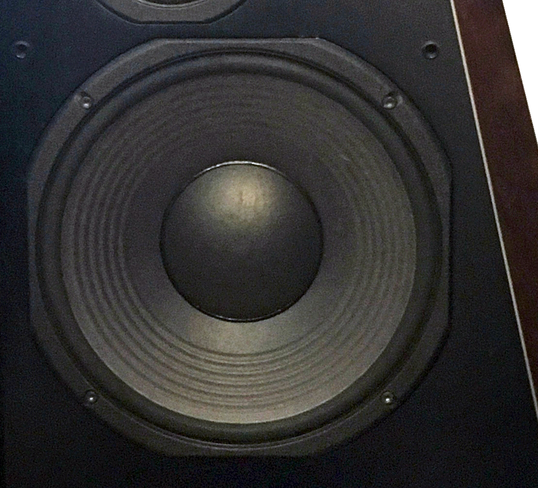RCF Sub 8004 Subwoofer